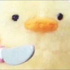 Meet your Posher, Rosario